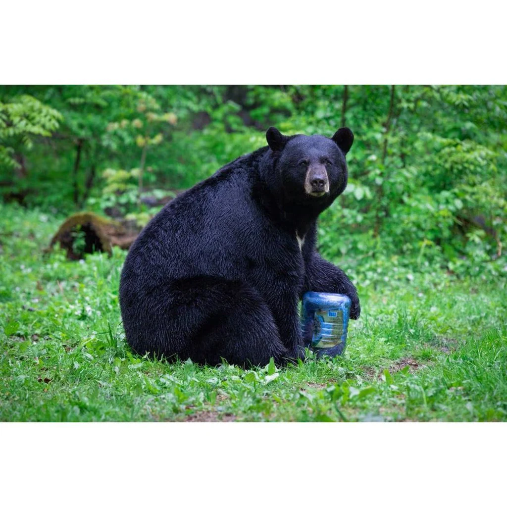 BearVault Food Canister BV500-Journey® - Image 7