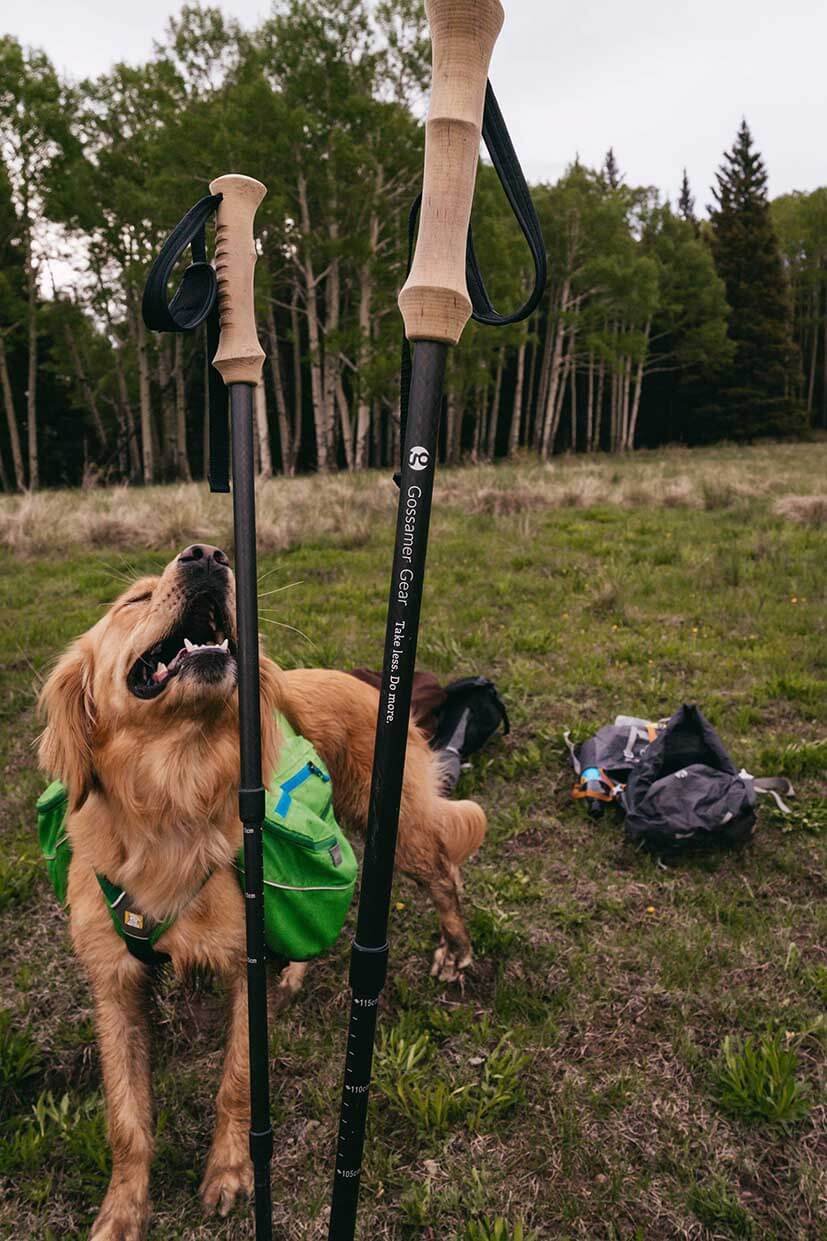 GOSSAMER GEAR LT5 Trekking Poles - Image 3