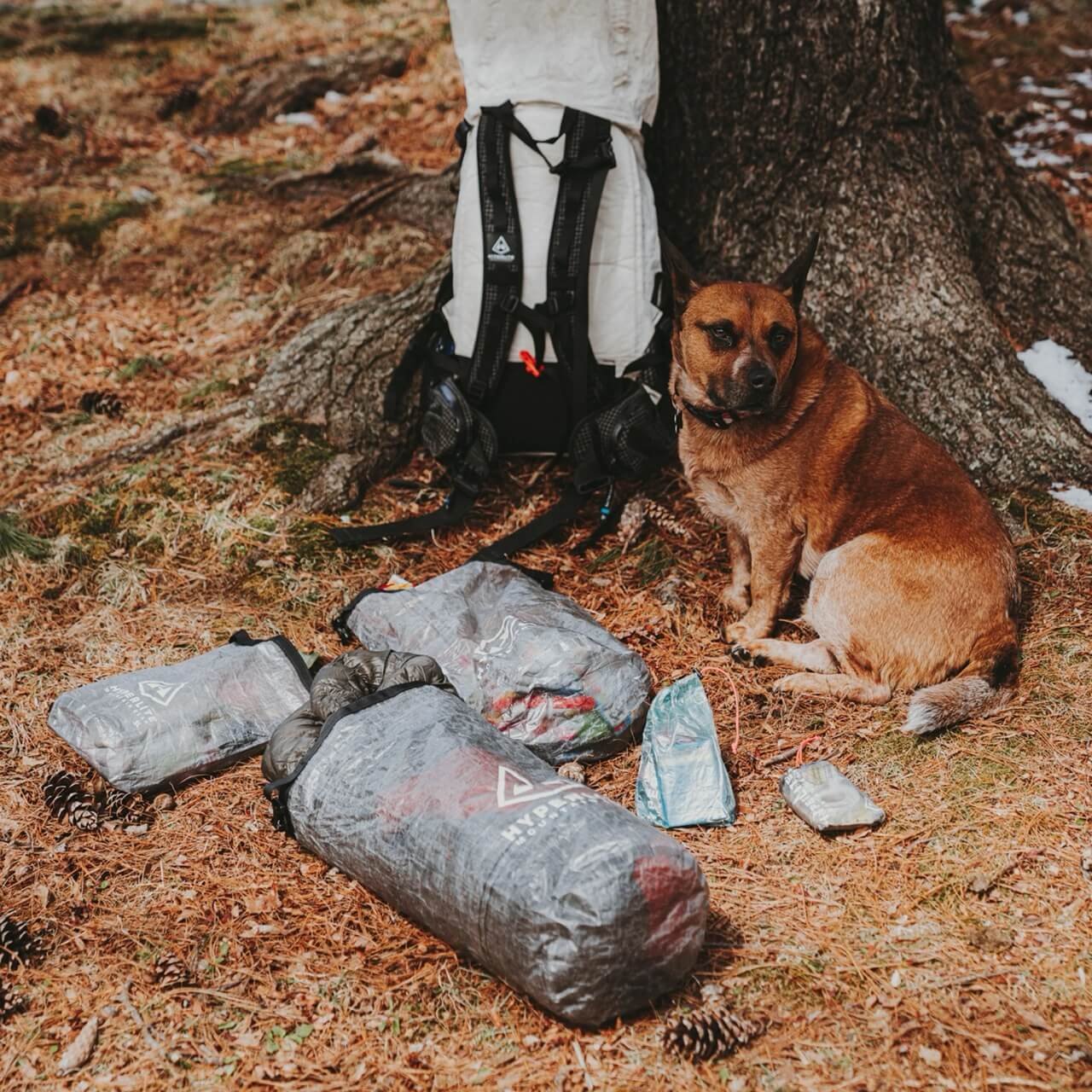 HMG Roll-Top Stuff Sacks - Image 9