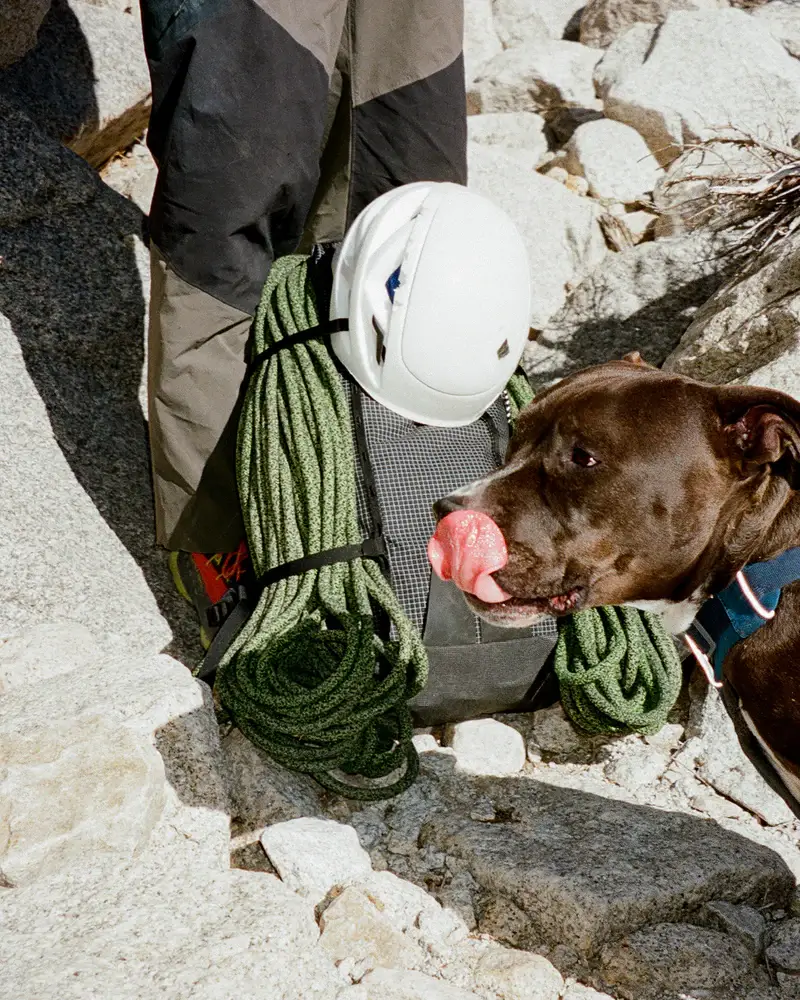 Pa’lante Alpine Pack - Image 19