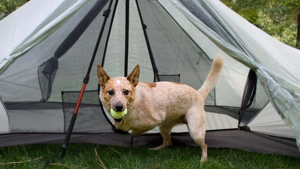 TARPTENT Dipole 1 Li - Image 12